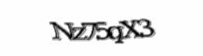 Security check image, please type the characters shown